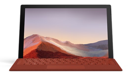 保城镇清洁和维护 Surface